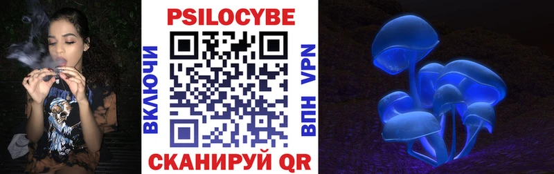 что такое наркотик  Печоры  Галлюциногенные грибы Psilocybine cubensis 